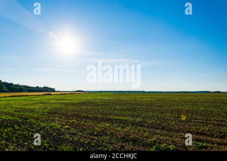 Ein Foto von bebautem Ackerland nach der Ernte. Stockfoto