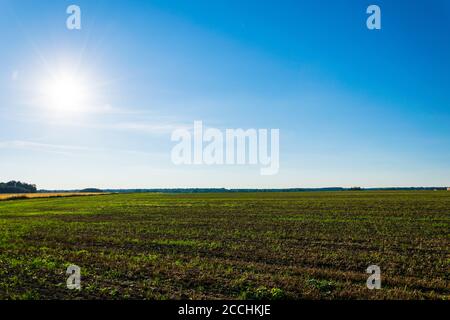 Ein Foto von bebautem Ackerland nach der Ernte. Stockfoto