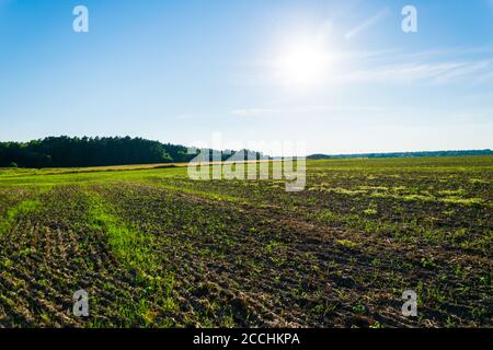 Ein Foto von bebautem Ackerland nach der Ernte. Stockfoto