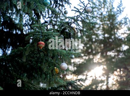 Bunte große Weihnachtskugeln hängen am Baum. Bunte große Weihnachtskugeln hängen am Baum. Stockfoto