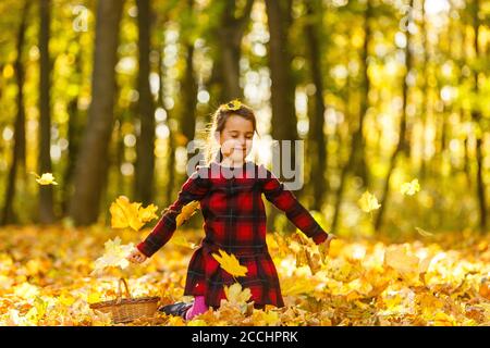 Kleines Mädchen sammelt Laub im Herbst. Stockfoto