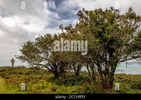 Dodman Point an der südlichen Cornwall Küste - der höchste Coastal Point in Cornwall Stockfoto