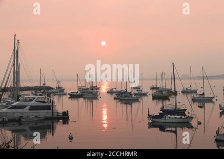 Sonnenaufgang über dem Hafen, Monterey Bay, CA. Waldbrände haben den Himmel und das Wasser rosa gemacht und wunderschöne Reflexionen im Wasser geschaffen. Stockfoto