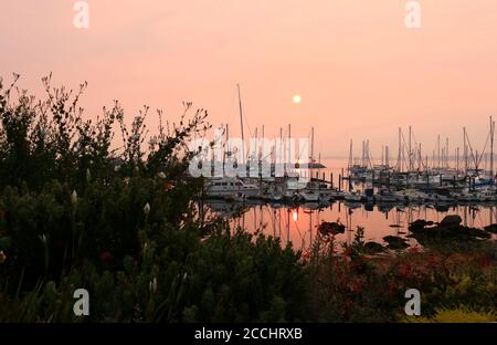 Sonnenaufgang über dem Hafen, Monterey Bay, CA. Waldbrände haben den Himmel und das Wasser rosa gemacht und wunderschöne Reflexionen im Wasser geschaffen. Stockfoto