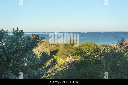 Blick auf das Meer von der Morgensonne durch grüne Büsche beleuchtet, Euphorbia stenoclada - endemisch in Madagaskar - Stachelsaftige Blätter im Fokus auf der linken Seite Stockfoto