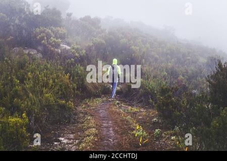 Blick von hinten - ein einziger Wanderer in hellgrüner Jacke während der Wanderung zum Pic Boby aka Imarivolanitra im Andringitra Nationalpark, am frühen nebligen Morgen. Stockfoto