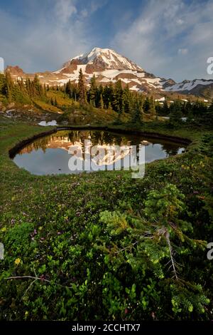 Mount Rainier spiegelt sich in einem kleinen Teich in Spray Park Meadows, Mount Rainier National Park, Washington State, USA Stockfoto