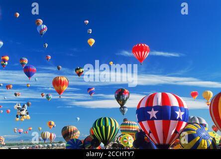 Hunderte von bunten Luftballons abheben beim Festival in Albuquerque, New Mexico Stockfoto