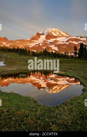 Mount Rainier spiegelt sich in einem kleinen Teich in Spray Park Meadows, Mount Rainier National Park, Washington State, USA Stockfoto