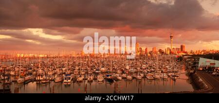 Yachten im Waitemata Hafen (Westhaven Hafen) Mit Skytower in Auckland Skyline bei Sonnenuntergang Stockfoto