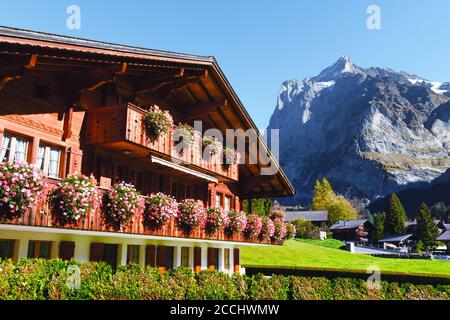 Malerische Herbstlandschaft mit Holzhaus mit Blumen und Bergen Hintergrund im Dorf Grindelwald in den Schweizer Alpen Stockfoto