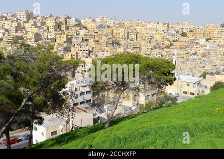 Skyline von Amman, Jordanien im Nahen Osten. Dicht besiedeltes Gebiet in einem Hügel mit mehreren niedrigen Gebäuden in gelber Farbe und einfacher Architektur. Stockfoto