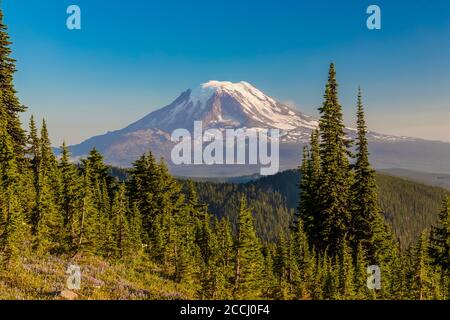 Mount Adams entlang des Snowgrass Trail in der Goat Rocks Wilderness, Gifford Pinchot National Forest, Washington State, USA Stockfoto