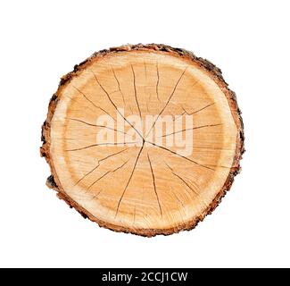 Gefälltes Stück Holz aus einem Baumstamm mit Wachstumsringen isoliert auf weiß. Baumringe mit Textur und Detail. Stockfoto