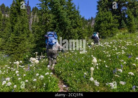 Karen Rentz und John Michaels wandern in Richtung Cispus Basin in the Goat Rocks Wilderness, Gifford Pinchot National Forest, Washington State, USA [kein Modus Stockfoto