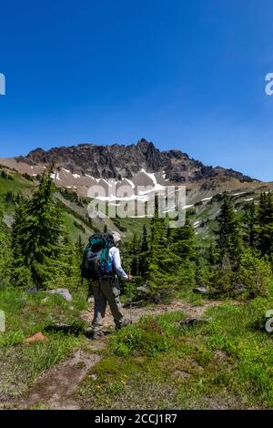 Joan Michaels bei fast 80 Jahre alt Wandern in Cispus Basin in the Goat Rocks Wilderness, Gifford Pinchot National Forest, Washington State, USA [No m Stockfoto