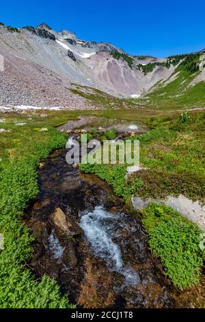 Cispus River Headwaters in Upper Cispus Basin in the Goat Rocks Wilderness, Gifford Pinchot National Forest, Washington State, USA Stockfoto