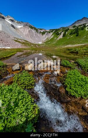 Cispus River Headwaters in Upper Cispus Basin in the Goat Rocks Wilderness, Gifford Pinchot National Forest, Washington State, USA Stockfoto