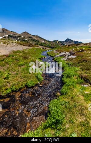 Cispus River Headwaters in Upper Cispus Basin in the Goat Rocks Wilderness, Gifford Pinchot National Forest, Washington State, USA Stockfoto