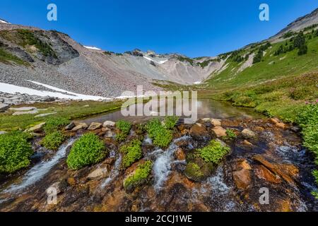 Cispus River Headwaters in Upper Cispus Basin in the Goat Rocks Wilderness, Gifford Pinchot National Forest, Washington State, USA Stockfoto