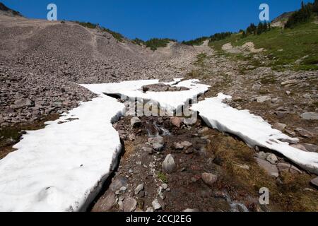 Kanal durch Schneefeld durch fließenden Cispus River gebildet, Goat Rocks Wilderness, Gifford Pinchot National Forest, Washington State, USA Stockfoto