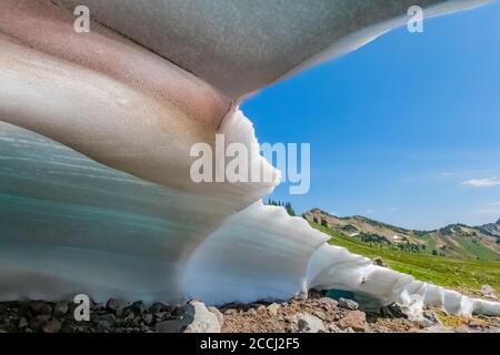 Kanal durch Schneefeld durch fließenden Cispus River gebildet, Goat Rocks Wilderness, Gifford Pinchot National Forest, Washington State, USA Stockfoto