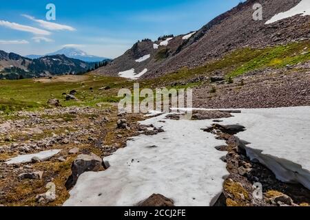 Kanal durch Schneefeld durch fließenden Cispus River gebildet, Mount Adams entfernt, Goat Rocks Wilderness, Gifford Pinchot National Forest, Washington Sta Stockfoto