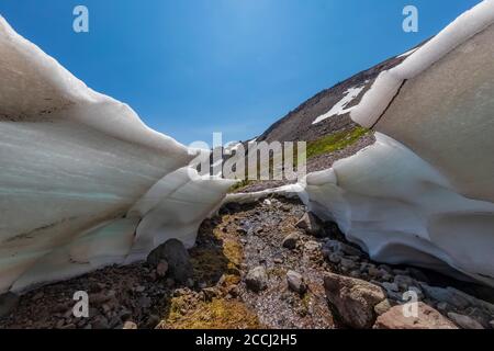 Kanal durch Schneefeld durch fließenden Cispus River gebildet, Goat Rocks Wilderness, Gifford Pinchot National Forest, Washington State, USA Stockfoto