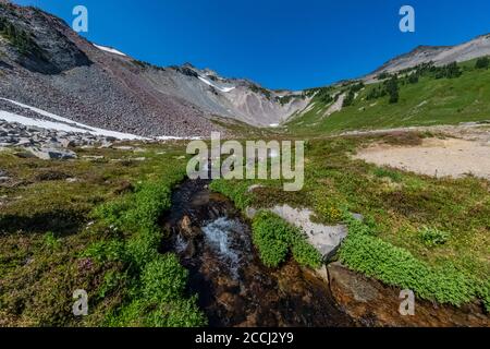 Cispus River Headwaters in Upper Cispus Basin in the Goat Rocks Wilderness, Gifford Pinchot National Forest, Washington State, USA Stockfoto