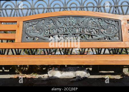 Eine Katze schläft in der Sonne unter einer Bank in Mount Mtasminda, Tiflis, Republik Georgien Stockfoto