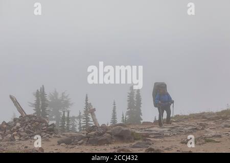 Karen Rentz Wandern auf dem Pacific Crest Trail an einem Tag leichten Regens in der Goat Rocks Wilderness, Gifford Pinchot National Forest, Washington State, Stockfoto