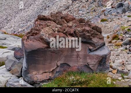 Vulkanisches Gestein, mit glatten und extrem rauen Formen von Lava, in der Nähe von Old Snowy entlang des Pacific Crest Trail in der Goat Rocks Wilderness, Gifford Pinc Stockfoto