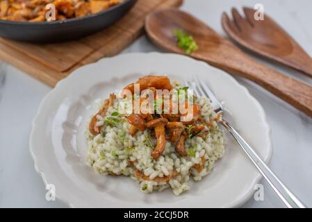 Hausgemachtes Risotto mit Pfifferlingen und Kräutern Stockfoto