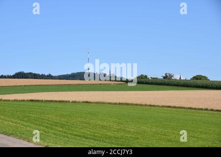 Blick auf den Aussichtsturm und den Uetliberg-Fernsehturm am Uetliberg vom Wanderweg vorbei an Feldern und Wiesen bei Uitikon. Stockfoto