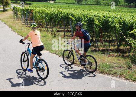Junges Paar auf einer Fahrradtour in den Weinbergen Stockfoto