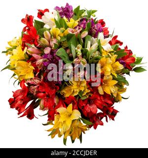 Alstroemeria, gemeinhin als die peruanische Lilie oder Lilie der Inkas. Nahaufnahme von bunten Blumenstrauß von oben im Studio fotografiert, isoliert auf weiß Stockfoto