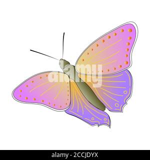 Bunte Schmetterling isoliert auf einem weißen Hintergrund. Draufsicht. Ein vielfarbiger Schmetterling mit einem schönen Muster an den Flügeln. Vektor EPS10. Stock Vektor