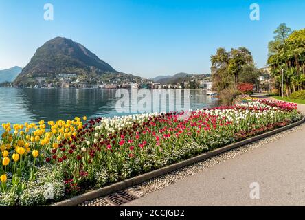 Landschaft des Luganersees mit bunten Tulpen in Blüte vom Ciani Park im Frühling, Lugano, Schweiz Stockfoto