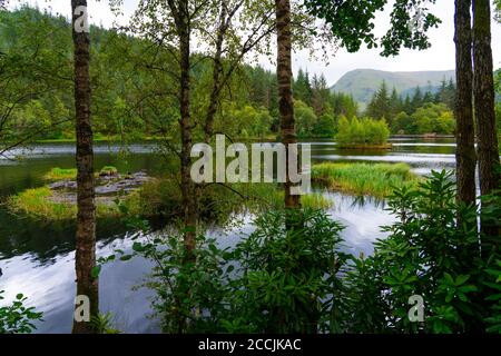 Blick auf Glencoe Lochan im Wald oberhalb des Dorfes Glencoe, Highland, Schottland, Großbritannien Stockfoto