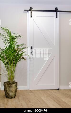 Modernes Wohnzimmer mit einer weißen Schiebetür und einer schönen Topfpflanze namens Dypsis lutescens, auch bekannt als goldene Rohrpalme oder Areca-Palme Stockfoto