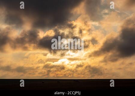 A Rural South Downs Sonnenuntergang an einem Sommerabend Stockfoto