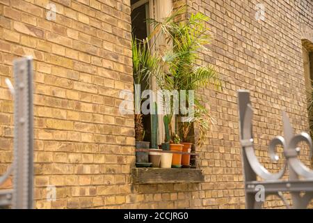 Backsteinhaus mit grünen Pflanzen im Fenster Stockfoto
