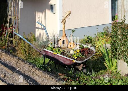 Retro vintage Metall Schubkarre Bau Wagen mit Erde gefüllt und Verschiedene Blumen gemischt mit geschnitzten trockenen Kürbis und verwendet als Gartendekoration Stockfoto