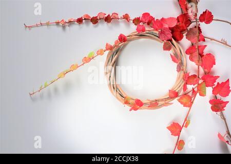 Kranz aus Herbstblumen und Blättern auf weißem Hintergrund. Herbstkomposition. Flach liegend, Kopierplatz. Stockfoto