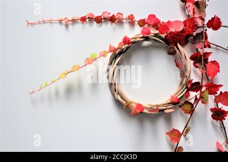 Kranz aus Herbstblumen und Blättern auf weißem Hintergrund. Herbstkomposition. Flach liegend, Kopierplatz. Stockfoto