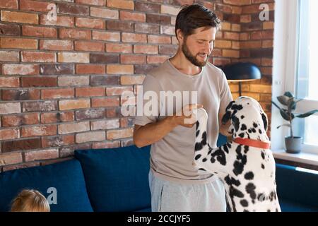 Schöner kaukasischer bärtiger Mann spielen mit Hund zu Hause, verspielte dalmatinische Haustier Hund liebt seinen Besitzer, Spaß im Wohnzimmer haben Stockfoto