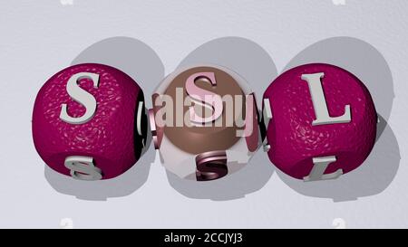 Kreuzworträtsel von SSL angeordnet durch kubische Buchstaben auf einem Spiegelboden, Konzept Bedeutung und Präsentation, 3D-Illustration Stockfoto