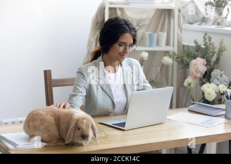 Glückliche junge Unternehmerin genießen Arbeitstag mit lustigen flauschigen Kaninchen. Stockfoto