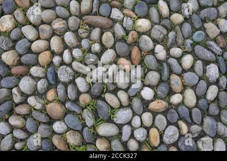 Zufällig angeordnete farbige Pflastersteine auf dem Boden als Hintergrund Struktur Stockfoto