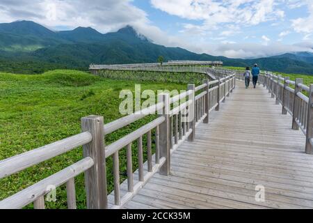 Blick auf den erhöhten Gehweg im Shiretoko Five Lakes 知床五湖 Nationalpark in Hokkaido, Japan Stockfoto